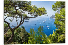 Gallery Print Capri im Sommer