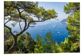 Magnettafel Capri im Sommer