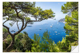 Wandsticker Capri im Sommer