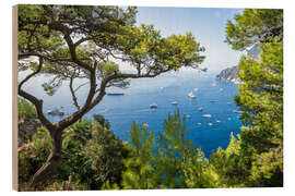 Holzbild Capri im Sommer