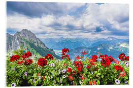 Acrylglasbild Blick vom Breitenberg bei Pfronten in die Alpen - Rico Ködder