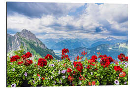 Alubild Blick vom Breitenberg bei Pfronten in die Alpen - Rico Ködder