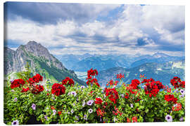 Leinwandbild Blick vom Breitenberg bei Pfronten in die Alpen - Rico Ködder