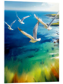 Acrylglasbild Möwen an der Küste