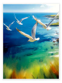 Wall art print Seagulls on the coast - Peter Roder