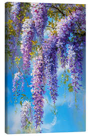 Leinwandbild Schöner Blauregen - Peter Roder