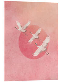 Acrylglasbild Die rosa Sonne