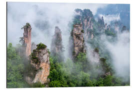 Quadro em alumínio Rocks in Zhangjiajie National Park, China - Jan Christopher Becke