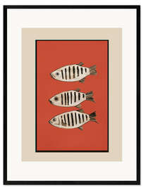 Gerahmter Kunstdruck Fischkomposition in Rot