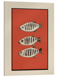 Gallery Print Fischkomposition in Rot