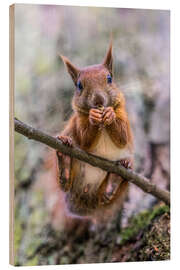 Holzbild Eichhörnchen auf dem Ast