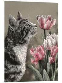 Acrylglasbild Katze schnüffelt an rosa Tulpen - DejaReve