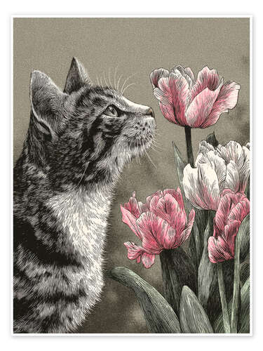 Poster Cat sniffing pink tulips