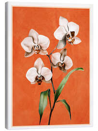 Leinwandbild Weiße Orchidee