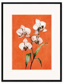 Gerahmter Kunstdruck Weiße Orchidee