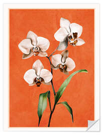 Wandsticker Weiße Orchidee