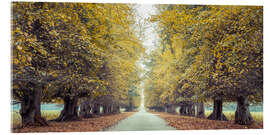 Acrylglasbild Straße durch den Herbstwald - Assaf Frank