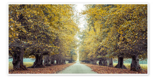 Poster Road through Fall Forest