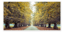 Kunstwerk Road through Fall Forest - Assaf Frank