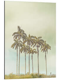 Alubild Breezy Palms