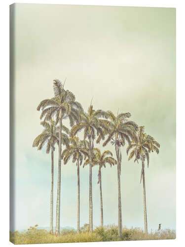 Tableau sur toile Breezy Palms