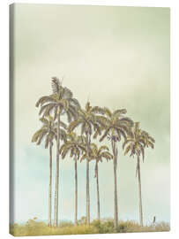 Tableau sur toile Breezy Palms - Assaf Frank