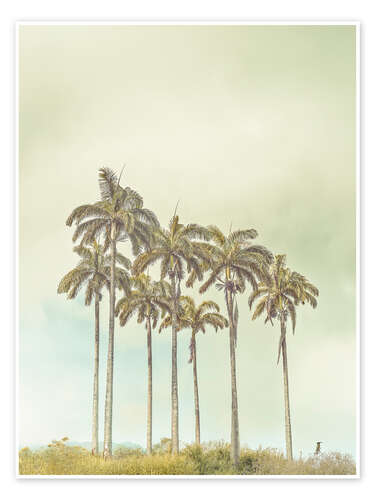 Poster Breezy Palms