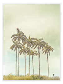 Wall art print Breezy Palms - Assaf Frank