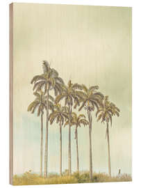 Holzbild Breezy Palms - Assaf Frank
