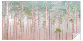 Wandsticker Ruhiger Kiefernschleier - Assaf Frank