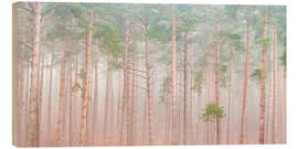 Holzbild Ruhiger Kiefernschleier - Assaf Frank