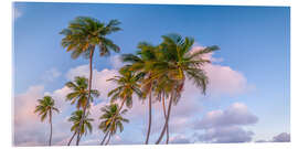 Acrylglasbild Tropischer Palmenabend