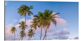 Alubild Tropischer Palmenabend