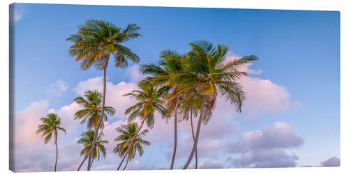 Tableau sur toile Tropical Palms Evening