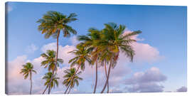 Tableau sur toile Tropical Palms Evening - Assaf Frank