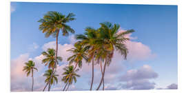 Hartschaumbild Tropischer Palmenabend
