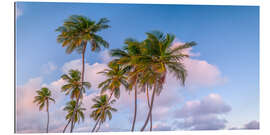 Gallery Print Tropischer Palmenabend