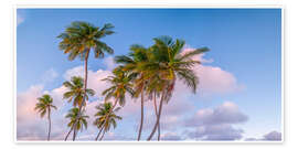 Wall art print Tropical Palms Evening - Assaf Frank