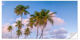 Wandsticker Tropischer Palmenabend