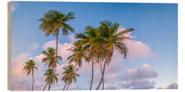 Holzbild Tropischer Palmenabend