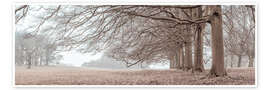 Veggbilde Trees in Row - Assaf Frank
