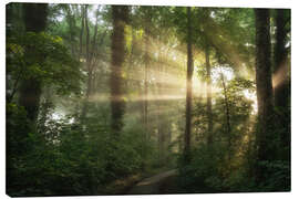 Leinwandbild Feuchter Sommermorgen in einem niederländischen Wald - Martin Podt