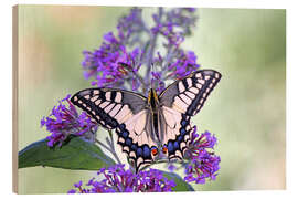 Holzbild Schwalbenschwanz auf Schmetterlingsflieder - GUGIGEI