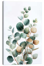 Leinwandbild Eukalyptus