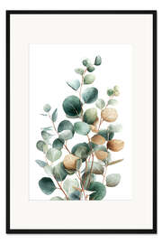 Gerahmter Kunstdruck Eukalyptus
