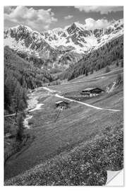 Wandsticker Bergmeister-Alm im Mühlwalder Tal bei Lappach, Südtirol