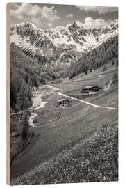 Holzbild Bergmeister-Alm im Mühlwalder Tal bei Lappach, Südtirol