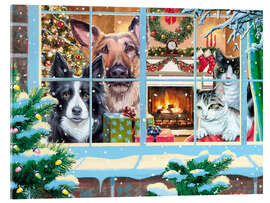 Acrylglasbild Die Haustiere warten auf den Santa Claus