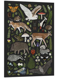 Alubild Charaktere der Natur III