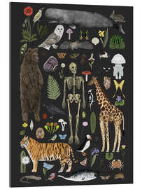 Acrylglasbild Charaktere der Natur I